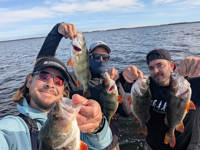 Trois hommes sur un bateau montrant fièrement plusieurs perches pêchées lors d'une sortie en lac.