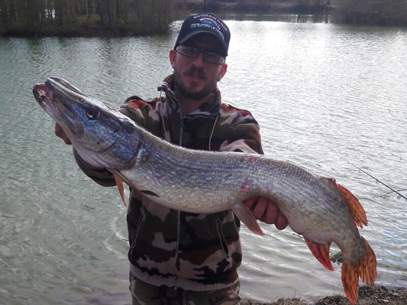 Guide de Pêche près de La Rochelle - Pêche aux Carnassiers dans le Lac de Frace