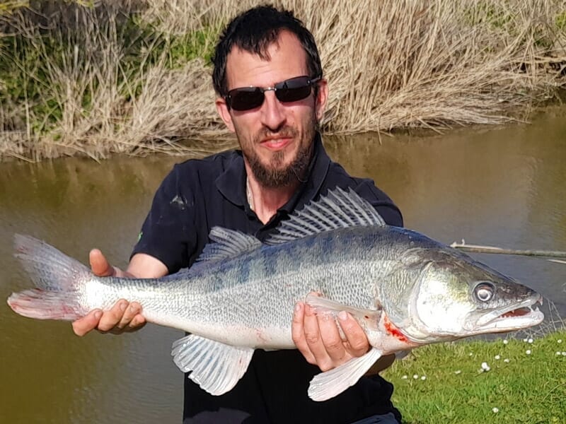Guide de Pêche près de La Rochelle - Pêche aux Carnassiers dans le Lac de Frace