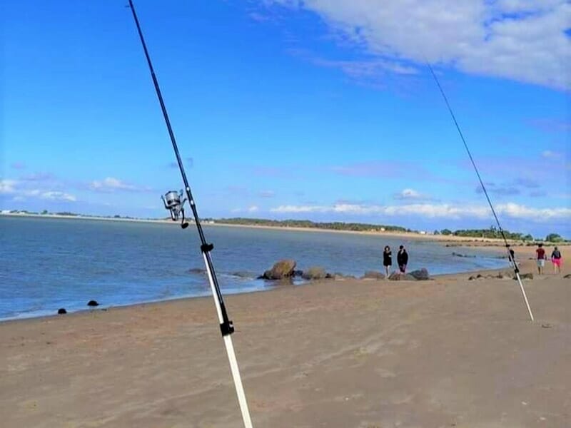 Pêche en Bord de Mer à La Rochelle