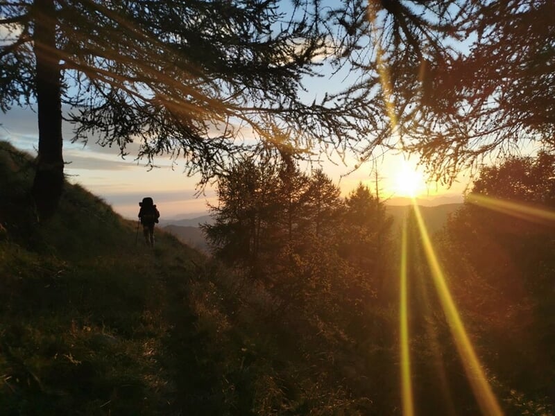 Personne marchant sur un sentier en forêt au coucher du soleil avec les rayons lumineux filtrant à travers les arbres.