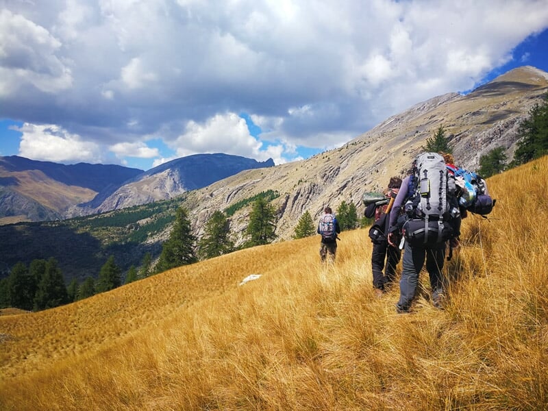 Groupe de randonneurs avec sacs à dos marchant dans un champ d'herbe jaune sous un ciel partiellement nuageux en montagne.