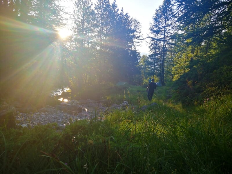 Personne marchant le long d'un ruisseau en forêt au lever du soleil, avec des rayons lumineux traversant les arbres.