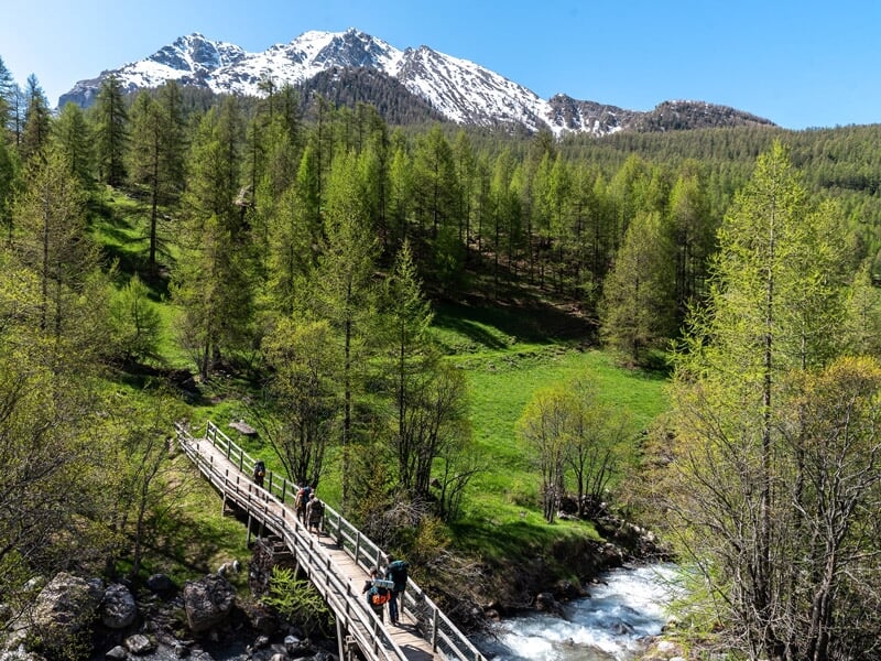 Pont en bois traversant une rivière en montagne, avec des arbres verts et des sommets enneigés en arrière-plan.