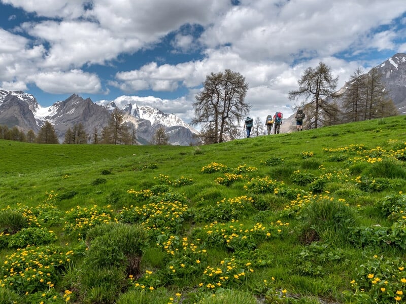 Paysage de montagne avec un groupe de randonneurs marchant dans un pré parsemé de fleurs jaunes sous un ciel bleu.