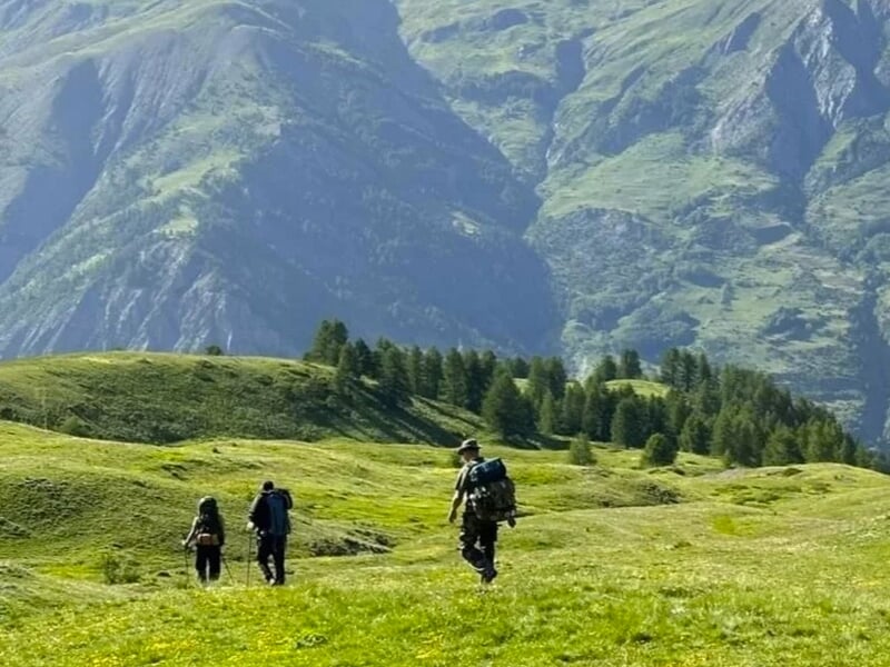 Des randonneurs marchent dans une prairie verte avec des sapins et des montagnes en arrière-plan