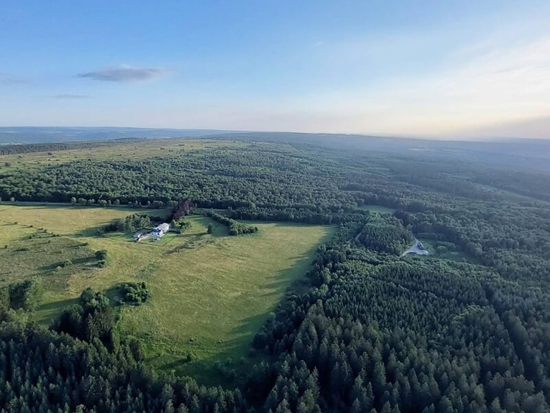 Vue aérienne d'une forêt dense et de prairies sous un ciel clair prise depuis une montgolfière.