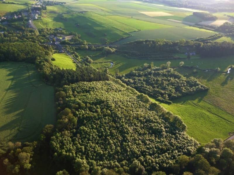 Vue aérienne d'une forêt dense et d'une vallée avec l'ombre d'une montgolfière sur les arbres.