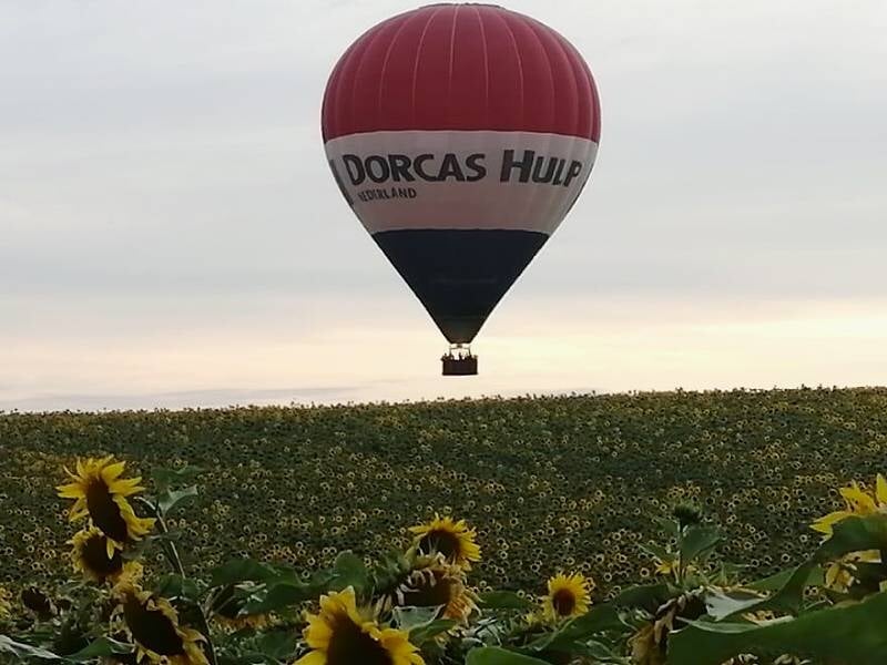 Montgolfière rouge, blanche et bleue avec inscription, survolant un champ de tournesols.