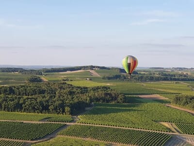 Vol en Montgolfière à Cognac - Survol des vignobles et grandes maisons