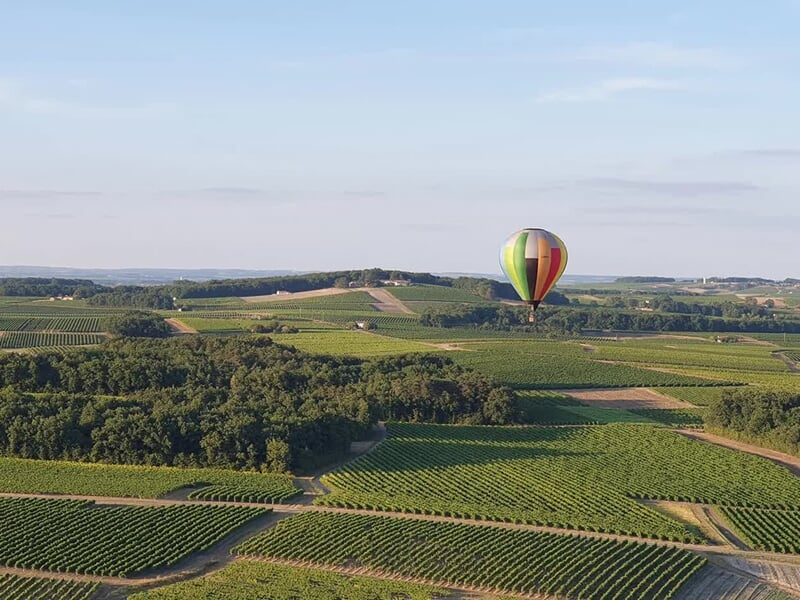 Montgolfière colorée survolant un paysage de vignobles et collines sous un ciel clair et lumineux.