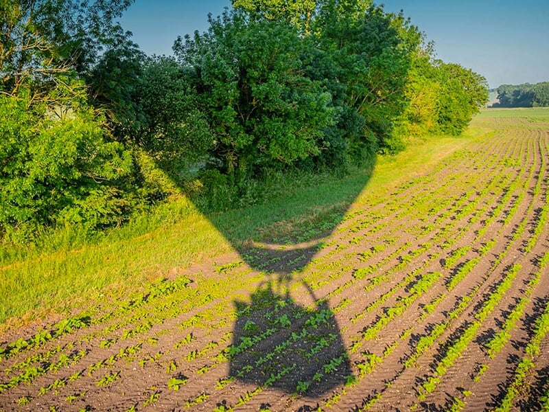 Montgolfière Land Rover dégonflée dans un champ avec plusieurs véhicules et le soleil bas à l'horizon.