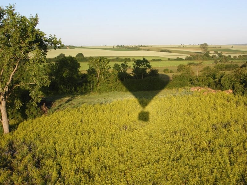 Ombre d'une montgolfière sur un champ cultivé, avec des cultures vertes et un ciel dégagé.