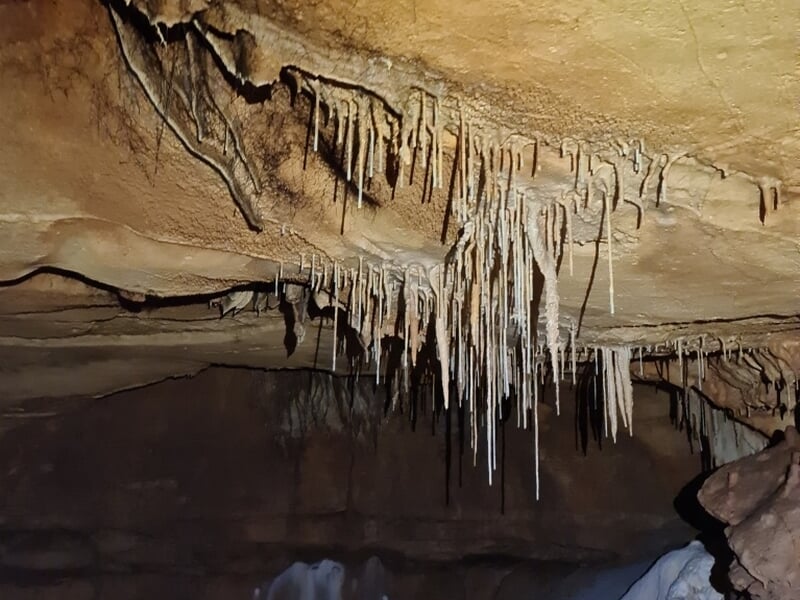Groupe de spéléologues dans une grotte avec des formations rocheuses, progressant en file indienne.