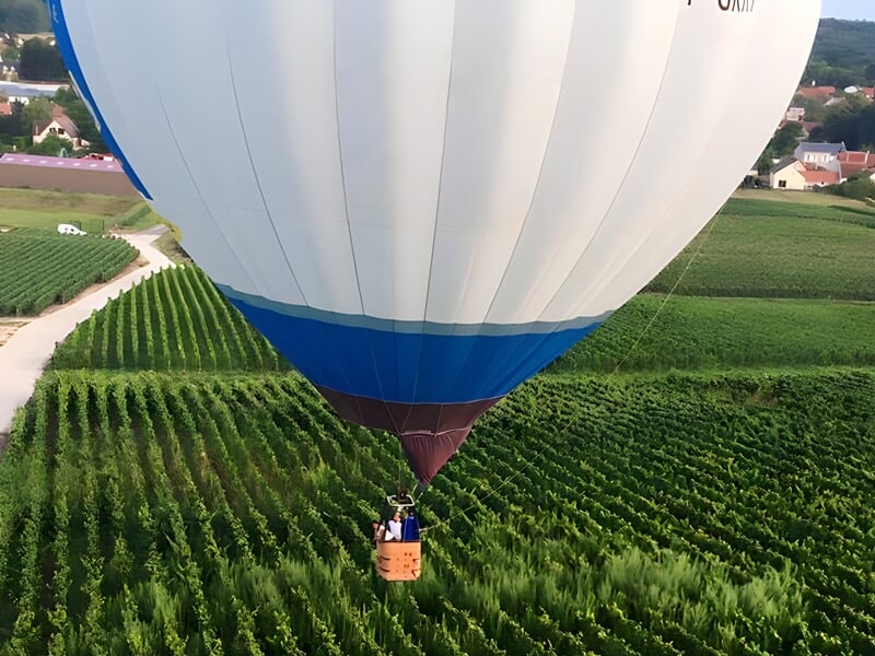 Montgolfière blanche et bleue survolant un vignoble verdoyant avec des maisons en arrière-plan.