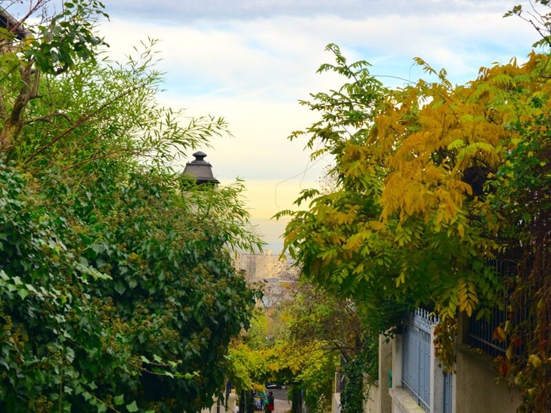 Vue d'une ruelle urbaine bordée d'arbres verts et jaunes avec une lumière douce du matin à Paris.