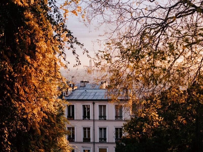 Vue automnale d'un bâtiment blanc vu à travers des arbres aux feuilles jaunes dans une ville.