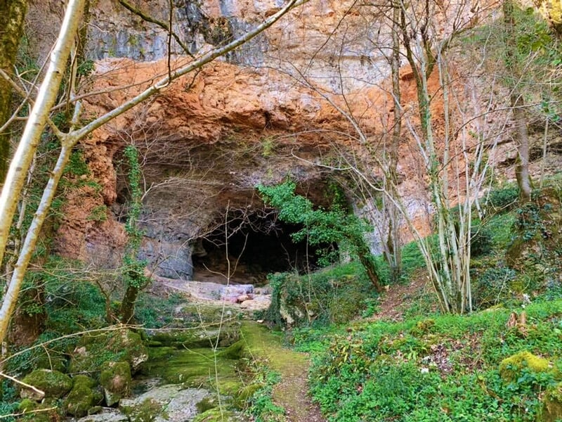 Entrée naturelle d'une grotte entourée de végétation verte et arbres, dans un paysage rocheux et sauvage.