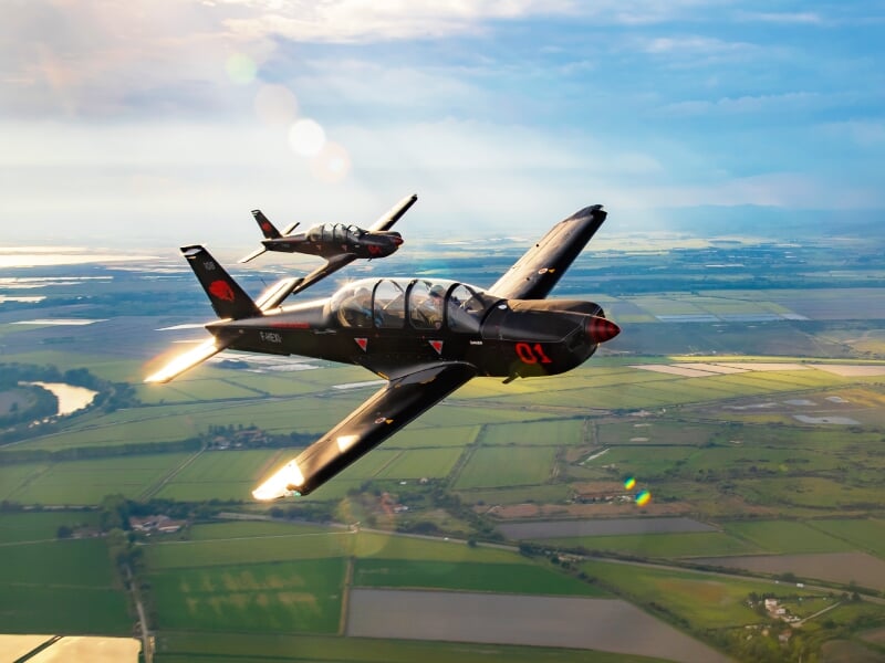 Formation en vol de deux avions d'entraînement militaires avec vue sur les ailes et le paysage agricole en dessous au crépuscule