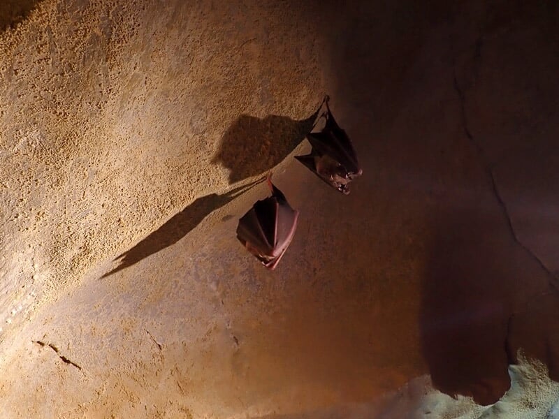 Personne en combinaison bleue traverse un plan d'eau souterrain dans une grotte avec lampe frontale.