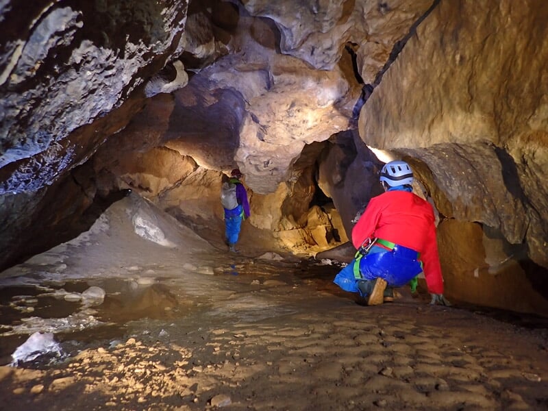 Deux chauves-souris suspendues au plafond d'une grotte rocheuse éclairée par une lumière douce.