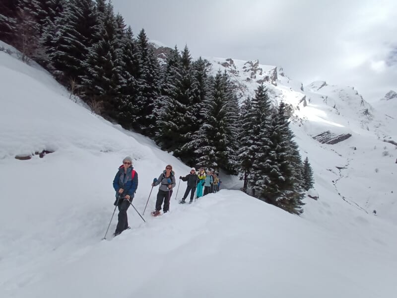 Groupe de personnes pratiquant la randonnée en raquettes dans la Vallée d'Ossau