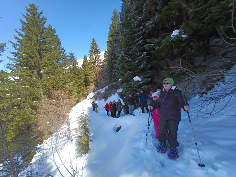 Activité randonnée en montagne dans la vallée d'Ossau