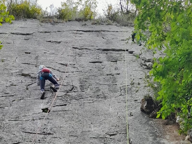 Grimpeur en tenue bleue progressant sur une paroi rocheuse abrupte dans un cadre naturel boisé.