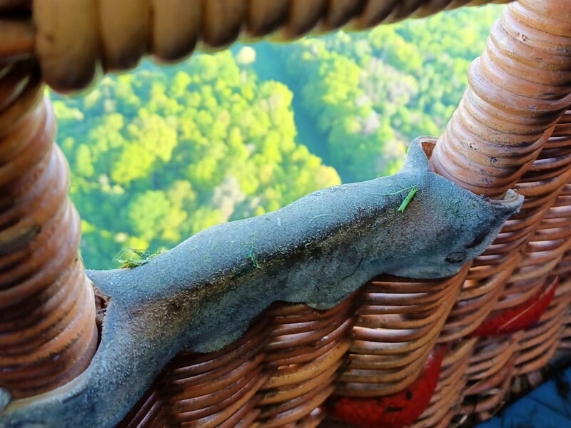 Détail d'une montgolfière en osier avec un petit insecte posé sur le bord.