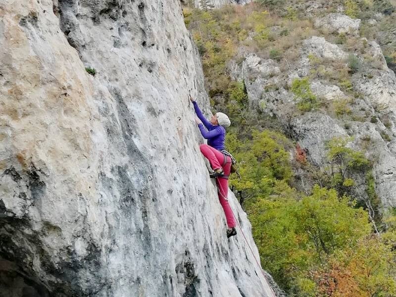 Une grimpeuse en tenue sportive escalade une falaise rocheuse avec un paysage de forêt en arrière-plan.