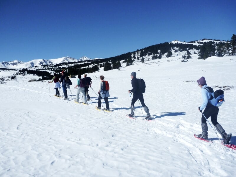 Groupe de personnes en raquettes à neige progressant en file indienne sur un vaste paysage enneigé et ensoleillé.