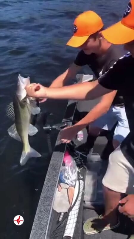 Guide de Pêche près de Langogne - Pêche aux Carnassiers