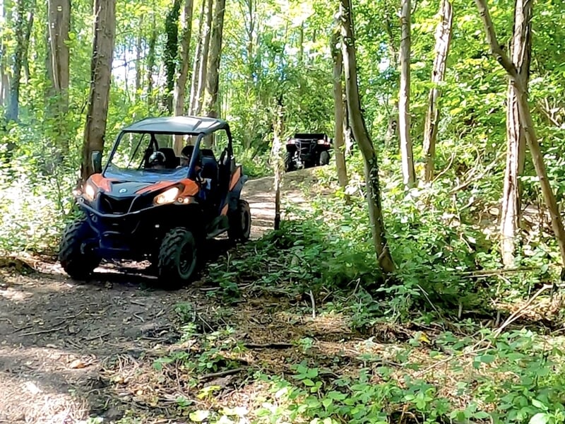 Deux quads tout-terrain circulant sur un chemin forestier entouré d'arbres verts et de végétation dense.