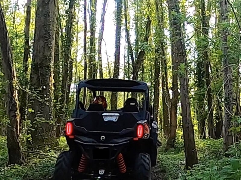 Vue arrière d'un quad noir roulant sur un sentier boisé avec des arbres hauts et un sol couvert de feuilles.