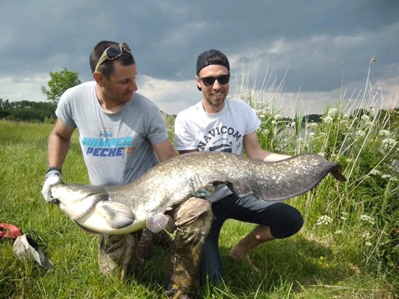 Deux pêcheurs présentant un silure dans un champ au bord d'un étang