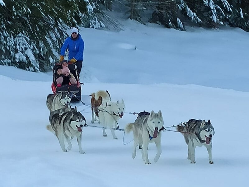 Deux personnes dans un traîneau tiré par une équipe de huskies sur un sentier enneigé en forêt.