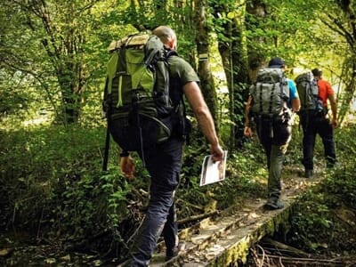 Stage de Survie près de Fontainebleau