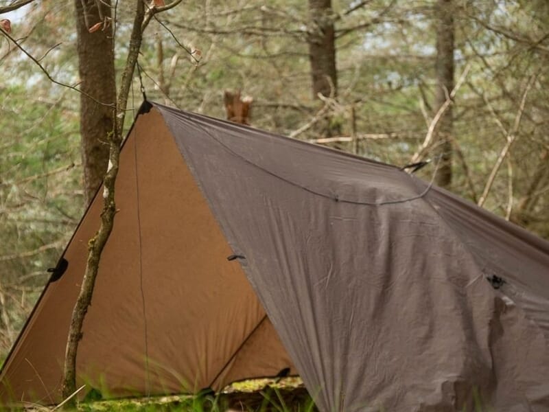 Tente de survie installée dans une forêt dense lors d'un stage de survie dans les Vosges du Nord.
