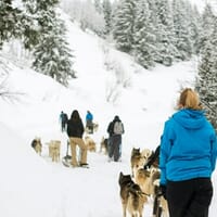 avis Initiation à la Conduite de Chiens de Traîneaux à Abondance