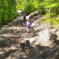 avis Cani-Rando à la Station des Rousses