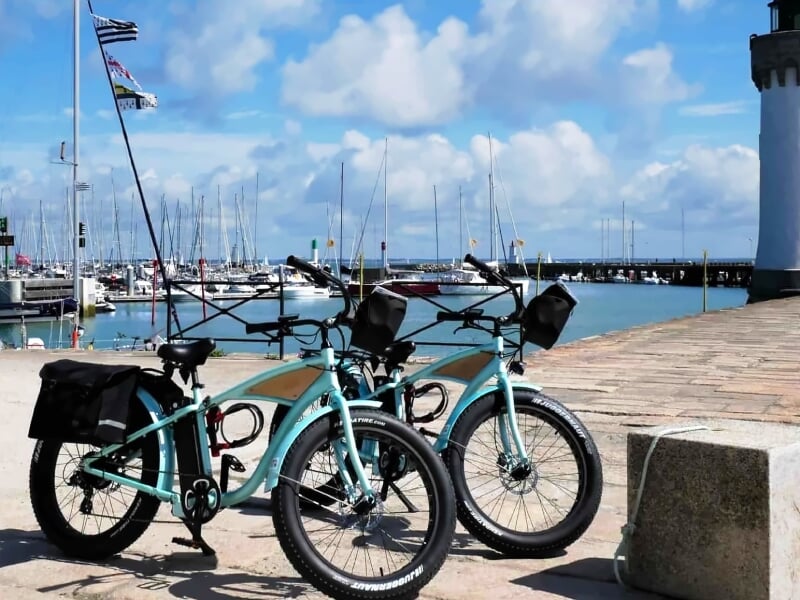 Deux vélos électriques bleus garés près d'un port avec des voiliers et un ciel bleu en arrière-plan.