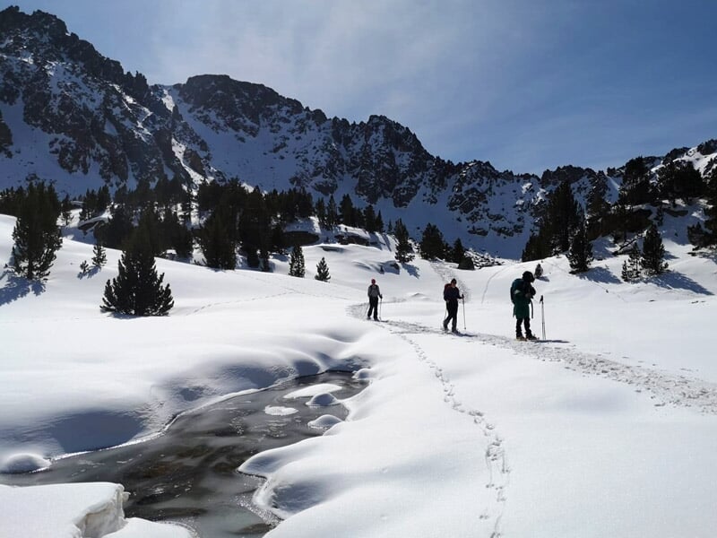 Quatre randonneurs en raquettes traversant un paysage enneigé avec ruisseau partiellement gelé, arbres épars et montagnes sombres.
