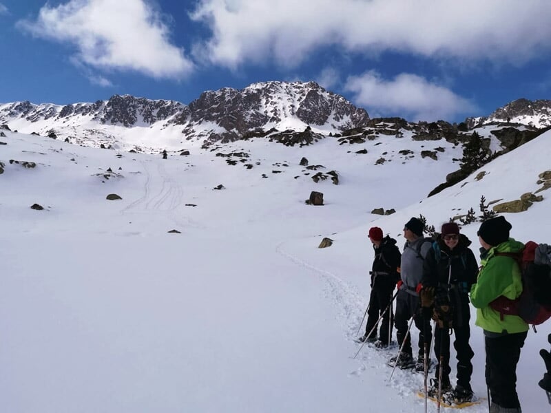 Cinq personnes en raquettes sur une pente enneigée sous ciel bleu, sommets rocheux enneigés en arrière-plan.