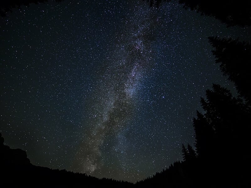 Ciel nocturne étoilé avec la Voie lactée visible, entouré de silhouettes d'arbres sombres.