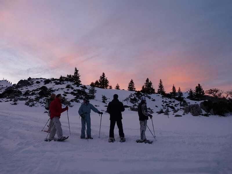 Quatre randonneurs en raquettes sur neige au crépuscule, ciel rose orangé, pins sombres et collines enneigées en arrière-plan.