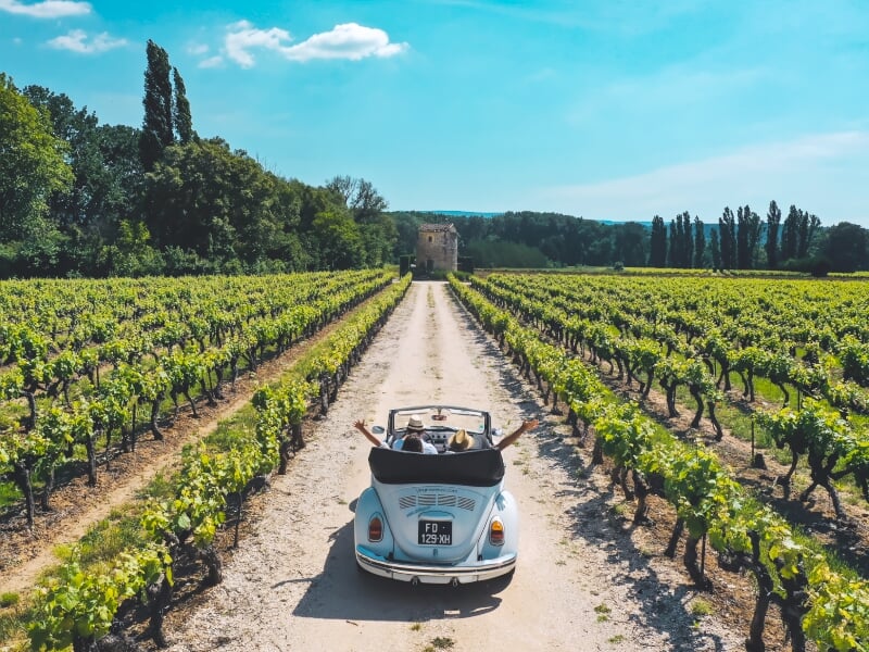 Voiture décapotable bleue roulant sur une route entre deux rangées de vignes sous un ciel clair.