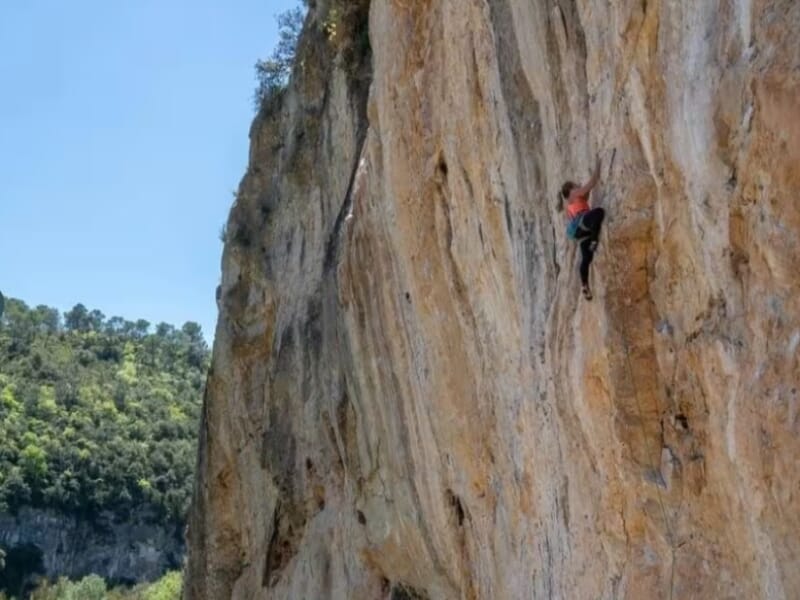 Escalade en falaise, grimpeur en pleine ascension sur paroi verticale de couleur ocre, ciel bleu et forêt en arrière-plan.