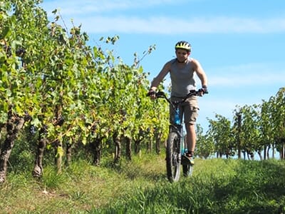 Randonnée en Trottinette Électrique près de Saint-Jean-Pied-de-Port