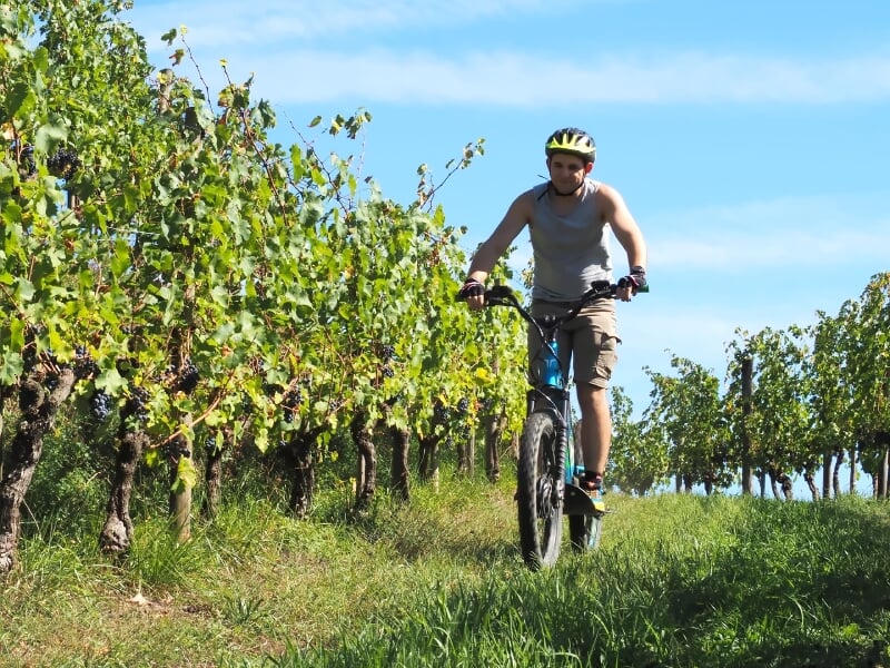 Homme en short et casque roulant sur une trottinette électrique dans un vignoble sous un ciel bleu.