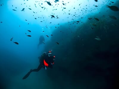 Stage de Plongée à Villeneuve-Loubet - Open Water Diver ou Niveau 1